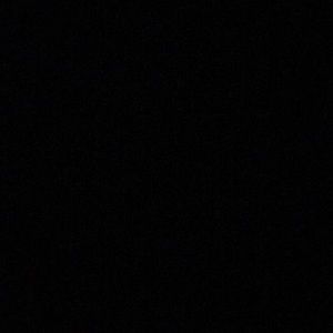 Meet your Posher, Bailey